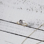 32 ホワイトシェル×スモーキークォーツリング18kgp