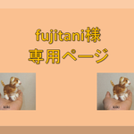 fujitani様専用ページです。