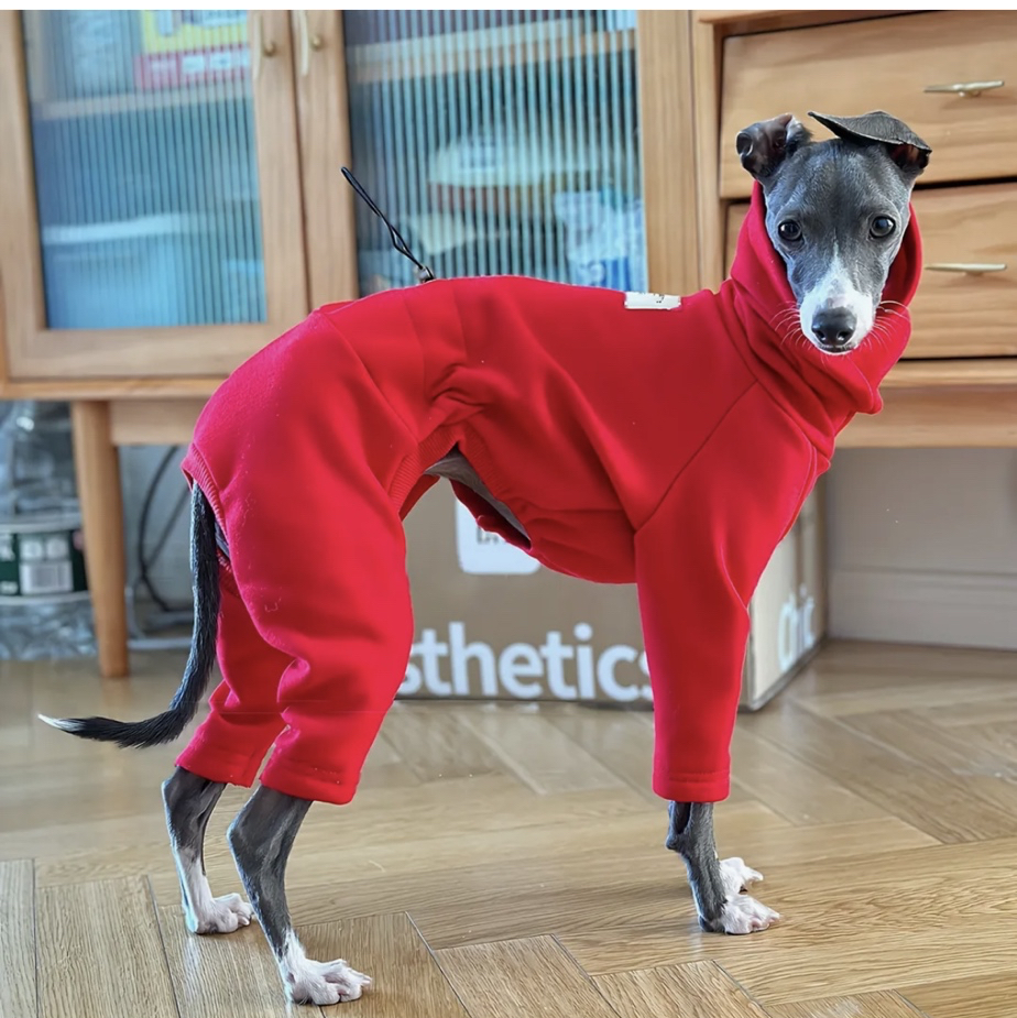 【ミニピン トイマン イタグレ ウィペット】マルチカラーフリース BAMBI MISHIN | イタグレ、ウィペット、ミニピン、トイマンなど