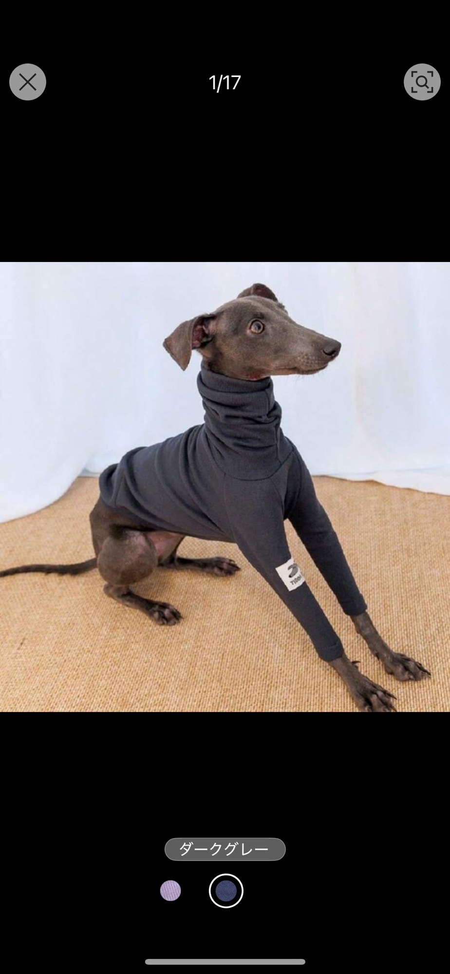犬 イタグレ - ウェアの人気通販 | minne byGMOペパボ 国内最大