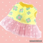 ♡春です北欧花柄&チュチュワンピース♪黄色ピンク中型犬小型犬フレブル服パグ服マックブヒマクドナルドフレンチブルドッグ中型犬小型犬ボストンテリアメッシュ