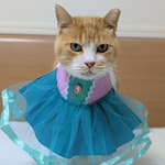 スプリングプリンセス
