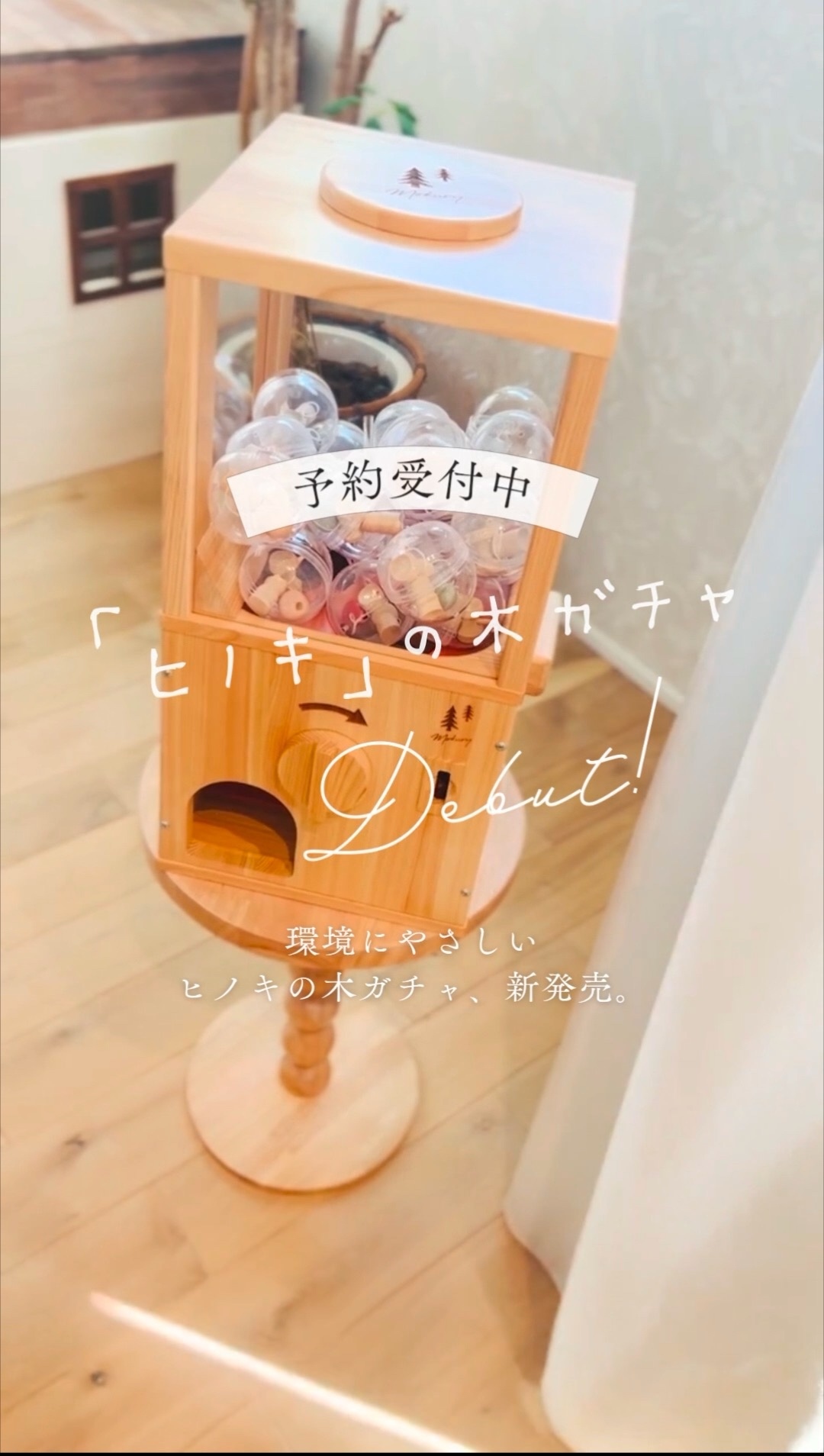 ⭐︎ヒノキの木ガチャ 本体⭐︎ガチャガチャ⭐︎カプセルトイ