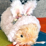 🍓手編み🍓ぬいぐるみ用うさぎの着ぐるみ🐇
