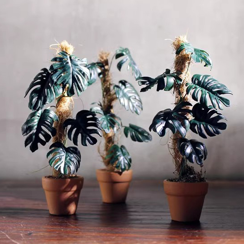 ミニチュア 観葉植物 モンステラ 粘土製 ドールハウス ミニチュアハウス 贈り物 5,240円