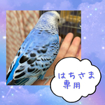 はち様 専用