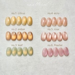 no.1-6 select magnet nail /ネイルチップ