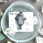 ゴマフアザラシ ブローチ