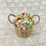 粘土多肉植物  セダム寄せ植え(カゴ付き)