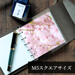 ［018.君の横顔］フォトディバイダー (M5SQ)