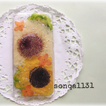 ❤kamachin様オーダー❤  押し花ケース