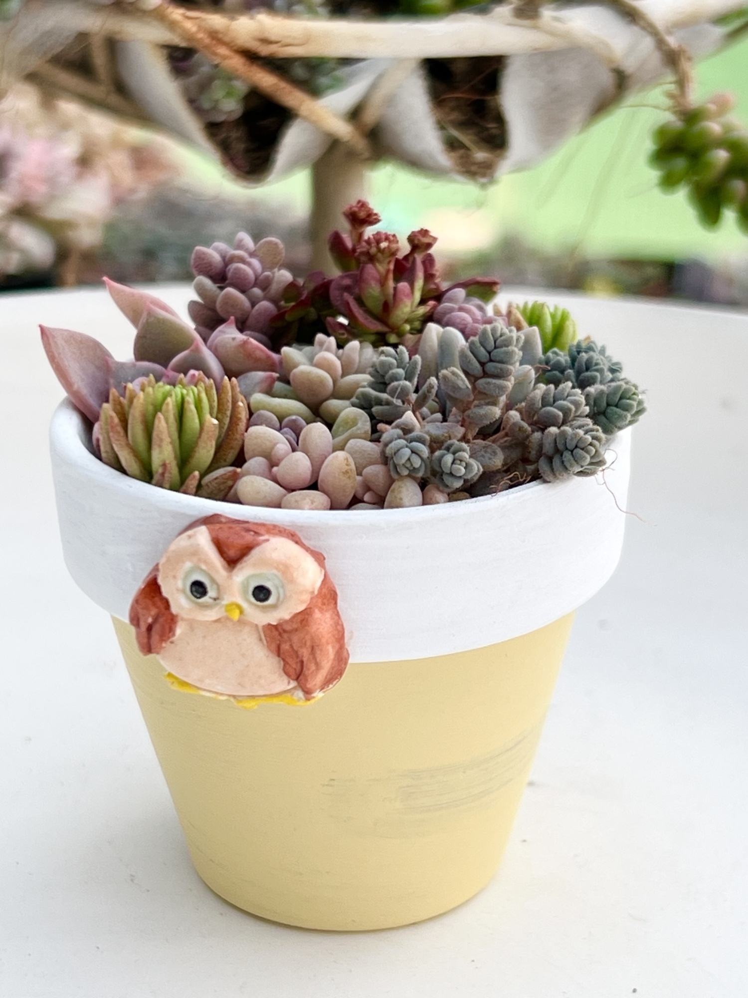 ☆多肉植物そのまま飾れる☆レトロスクーターピンク ☆多肉植物そのまま飾れる☆レトロスクーターピンク