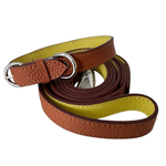 期間限定価格！Collar(首輪) & Leash(リード)  Mセット ブラウン×レモンイエロー
