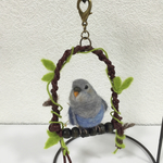※専用ページです※  kirarakun1様のコザクラインコちゃんのチャーム♪