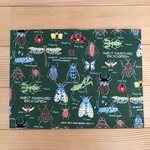 ランチョンマット  30×40センチ   昆虫(裏地なし)　グリーン🍀