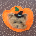 ハロウィンバッチ ヨークシャテリア