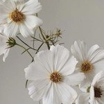 お直し・追加作成