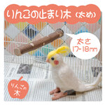 インコちゃんの✩.*˚りんごの止まり木　シンプルパーチ太め　17-18mm