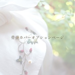 追加オプション