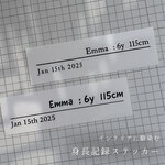 インテリアに馴染む身長記録ステッカー　身長記録ステッカー　身長計ステッカー　子ども身長計　身長　壁に貼る身長計　成長記録ステッカー　名入れ　名入れ身長計　セミオーダー