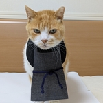 牛丼屋さん店員