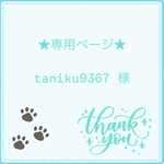 ★専用ページ★taniku9367様/ピアス