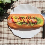 ホットドッグペンケース🌭