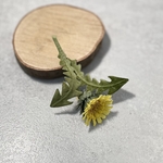 布花🌿黄色いお花とギザギザ葉っぱ、可愛いたんぽぽのブローチ