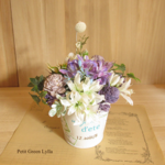 Petit Green Arrange 578