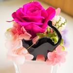 花園とネコ　マゼンタ