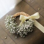 かすみ草ミニハーフリース