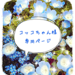 コッコちゃん様専用ページ
