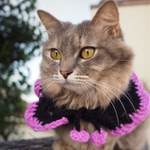 送料込☆ハロウィンマント☆犬帽子☆猫帽子☆