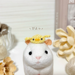 ひよこ 単品