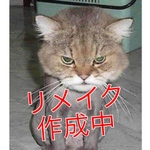 sunset様専用