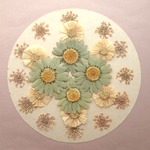 押し花セット⑨＜組み立ての花＆ノースポール＆レースフラワー他＞