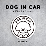 「プードル」DOG IN CAR × マグネットステッカー