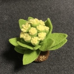 ふきのとう