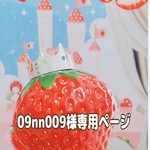 『09nn009様専用ページ』