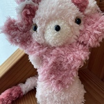 ピンクライオン 