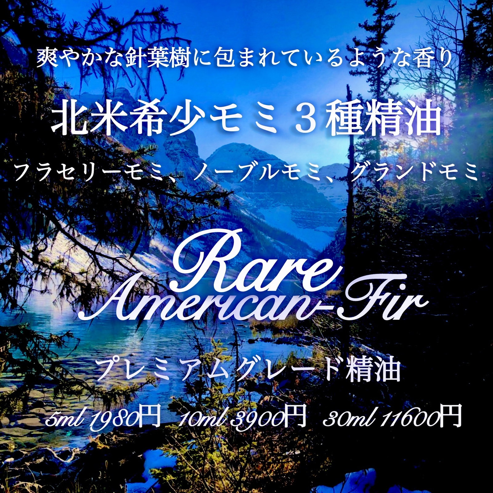 北米希少モミ(フレセリーモミ/ノーブルモミ/グランドモミ)精油5ml