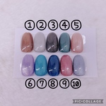 限定　ネイルチップ　マグネットジェル　②