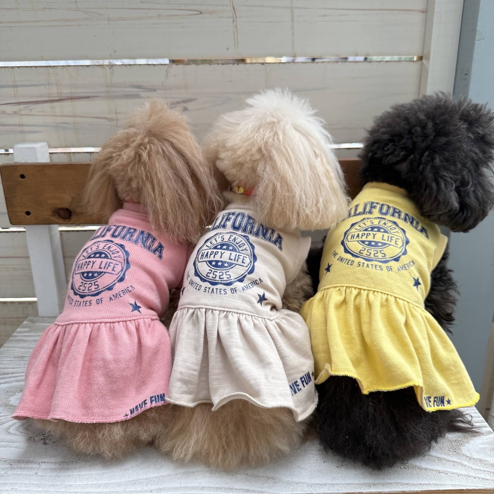 No.396犬服ハンドメイド バックオープンワンピース - メルカリ