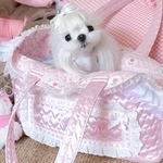 【限定2個】キャリーバッグ　プリンセスバッグキャリー　お姫様　犬　猫　ペットピンク