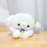No.31 ぱっちりうさちゃん（新芽🌱）
