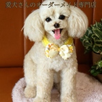 【うちの子オーダー】リアル　愛犬さんのオーダー　羊毛フェルトオーダー　犬　置物　ペット　オーダーメイド犬　ペットロス　チワワ　トイプードル　ダックス　ポメラニアン パピヨン　baophouc
