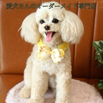 【うちの子オーダー】リアル　愛犬さんのオーダー　羊毛フェルト　オーダー　犬　置物　ペット　オーダーメイド　メモリアル　チワワ　トイプードル　ダックス　ポメラニアン