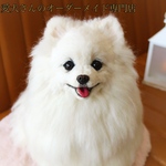 【うちの子オーダー】リアル　愛犬さんのオーダー　羊毛フェルト　オーダー　犬　置物　ペット　オーダーメイド　メモリアル　チワワ　トイプードル　ダックス　ポメラニアン
