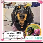 harutann 104d様 専用ページ