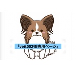『veit様専用ページ』